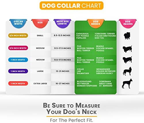 Moose Pet Wear Klasik Köpek Tasması-ABD'de Üretilen Ayarlanabilir Evcil Hayvan Tasmaları - 1 İnç Genişliğinde