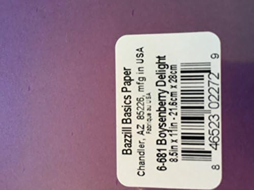 Bazzill Temelleri Kağıt Kart Stoğu Boysenberry Delight 8. 5X11 80Lb Smoothies Bazzi, Çok Renkli