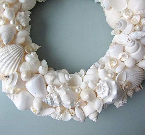 Beyaz Deniz Kabuklarının Karışımı-Set 3 inç'e kadar 1 Pound Beyaz Kabuk içerir-Ev Dekorasyonu, Vazo Dolgusu, Düğün Centerpiece,