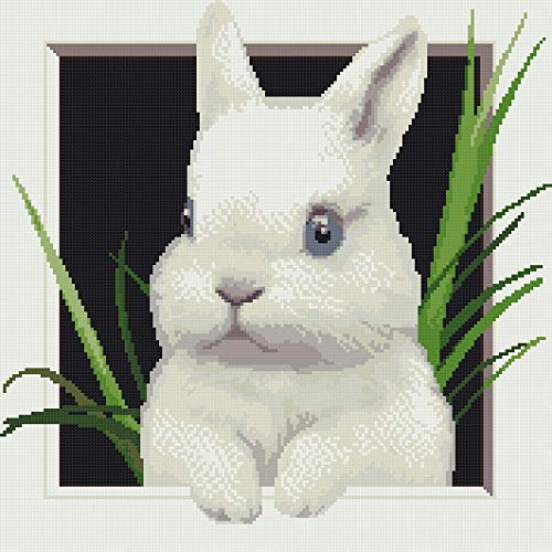 Çapraz Dikiş Desen Hayvanlar PDF, tavşan Bunny Sayılan Modern 3D Çapraz Dikiş Desenleri Tasarım, Paskalya Kolay Basit Çapraz